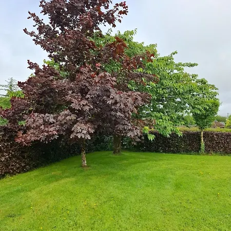 Vakantiehuis Meadow View Gortatlea Junction