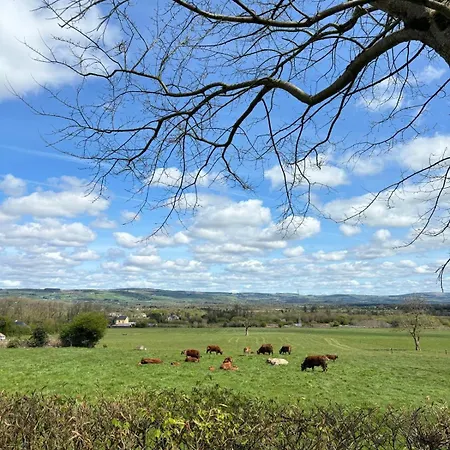 Meadow View *